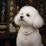 Pearl Crystal Guardian Pet Collar | A Symbol of Love, Protection & Positive Energy | Birthday Gift for Your Furry Princess or Prince