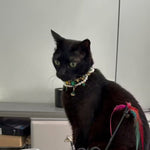 Ultimate Healing Crystal Pet Collar, Smoky Quartz Anxiety Relief Charm, Obsidian Protection Dog Necklace, Safety Cat Collar, Rescue Pet Gift