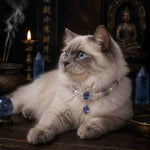 Pearl Crystal Guardian Pet Collar | A Symbol of Love, Protection & Positive Energy | Birthday Gift for Your Furry Princess or Prince